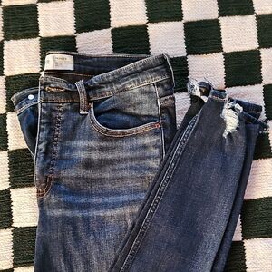 Parker Women's Blue Jeans